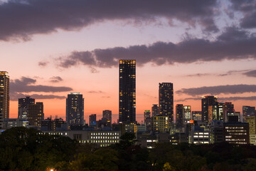 Obraz premium Urban skyline of Osaka with illuminated high-rise towers and office buildings under a vivid orange and purple sunset sky. The foreground features dark treetops, creating a striking contrast with the