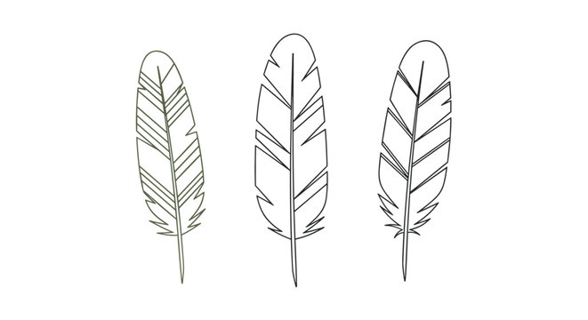 Set of three different bird feather illustrations in a simple black outline style against a white background for design.