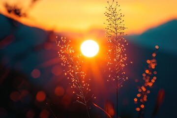 Sunrise through blades of grass, creating a blurred bokeh, with mountains in the distance