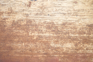 Close-up of a natural wood surface with visible grain and light brown texture. High-quality timber backdrop for rustic, organic, and carpentry themes.