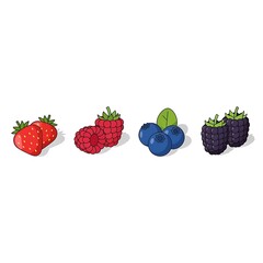 Assorted colorful garden berries are depicted in a simple graphic style against a white background.