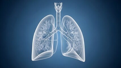 Transparent white 3d rendering illustrating the internal structure of the human respiratory system including the trachea bronchi and delicate branching airways against a deep blue background represent