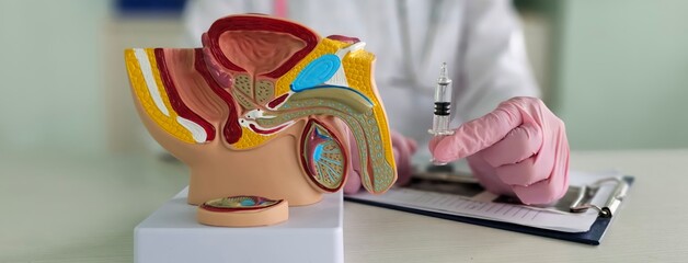 Protection against sexually transmitted infections. Treatment of sexually transmitted diseases in men