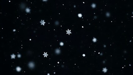 Fototapeta premium Snowflakes falling on black background falling snow white snowflakes