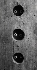 Fototapeta premium Three faces in a wooden plank
