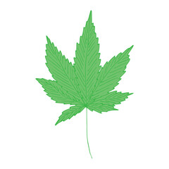 Fototapeta premium Hand drawn cannabis leaf Medicine marijuana Hemp leaves clipart in doodle style Single element for print, web, design, decor