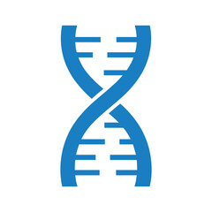 Double helix structure Vector © Vectorvista