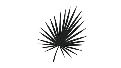 Fototapeta premium Black silhouette of a tropical fan palm leaf isolated on a white background, representing summer, nature, and exotic vibes.