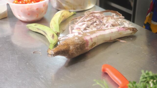 Large cassava root Manihot esculenta lies on a stainless steel prep table, with a section of its dark brown, fibrous skin removed to reveal the white, starchy flesh and two unpeeled plantains