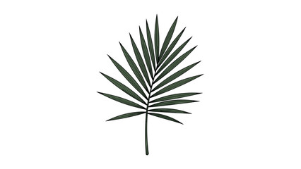A simple, colored illustration of a green tropical palm leaf, representing nature, summer, and exotic travel destinations.