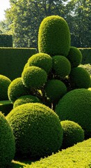 Elaborate topiary hedge garden art featuring complex geometric shapes and flowing natural curves on a sunny day ,garden ,outdoor ,environment