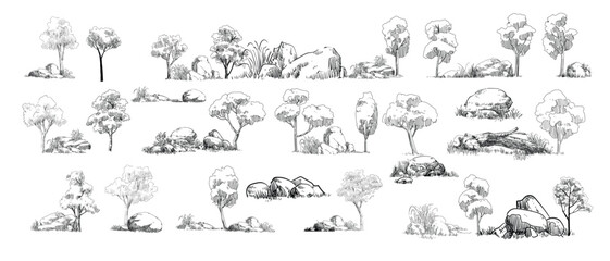 Sketches of various trees and bushes with rocks in a natural setting.