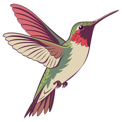 Realistic Hummingbird Hovering with Blurred Wings on White © Boina