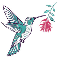 Obraz premium Colorful Hummingbird in Flight Isolated on White Background