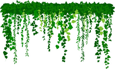 Hanging plants. Various green plants branches wall. Simplistic foliage border. Horizontal isolated vector decoration.