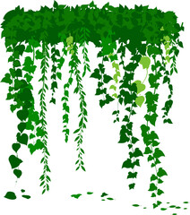 Hanging plants. Various green plants branches wall. Simplistic foliage border. Horizontal isolated vector decoration.