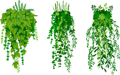 Hanging plants. Various green plants branches wall. Simplistic foliage border. Horizontal isolated vector decoration.