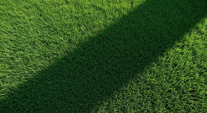 Lush green grass texture with diagonal shadow