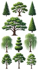 Collection of diverse green trees and foliage