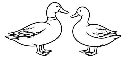 Obraz premium Line art duck set featuring two ducks for wildlife and nature themes