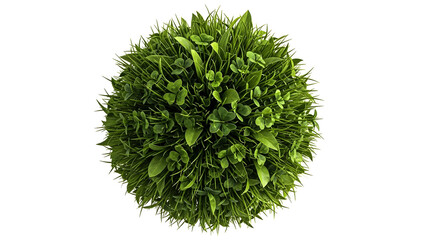 A perfectly round orb composed of lush green grass and small plants, isolated on a white background, symbolizing nature's perfect spheres