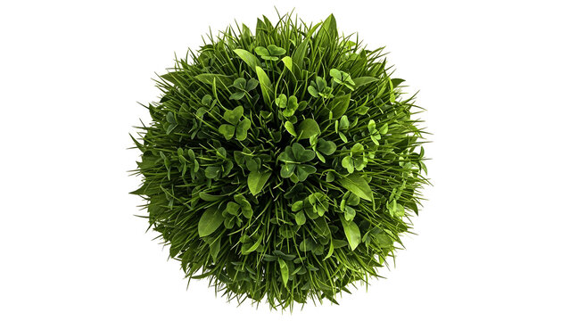 A perfectly round orb composed of lush green grass and small plants, isolated on a white background, symbolizing nature's perfect spheres