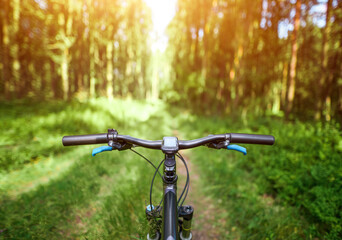 Handlebar view on off-road biking route