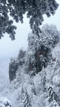 Huangshan, Anhui, China - January 2, 2026: A vertical shot of the snow-covered peaks and famous pine trees of Yellow Mountain (Huangshan) during winter. The rocky cliffs are shrouded in mist with fros