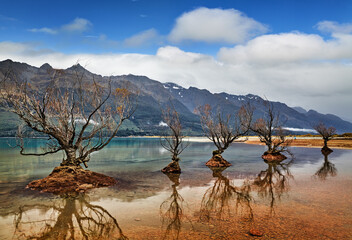 The row of famous willow trees that grow along the shores of Lake Wakatipu in Glenorchy, New Zealand