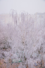 Frosty branches in a misty city create a serene, dreamy atmosphere