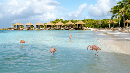 Turquoise waters surround white sandy beaches in Aruba, where vibrant flamingos stroll along the shore. Relax under thatched roof huts while enjoying the tropical paradise and the calm breeze. © Fokke Baarssen