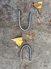 Fototapeta premium Close-up of concrete lifting anchors embedded in slab.