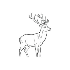 Obraz premium Elegant Majestic Deer Outline Drawing White Background