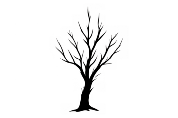 Leafless spooky tree silhouette casting a shadow, symbolizing decay, fear, winter, and halloween, with transparent background