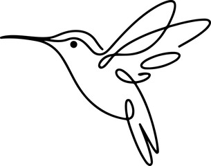 Obraz premium hummingbird vector illustration