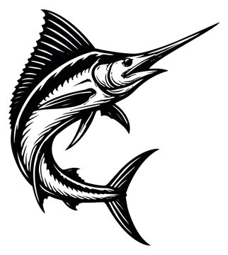 Graphic line art illustration of a marlin depicting a leaping pose for sport fishing