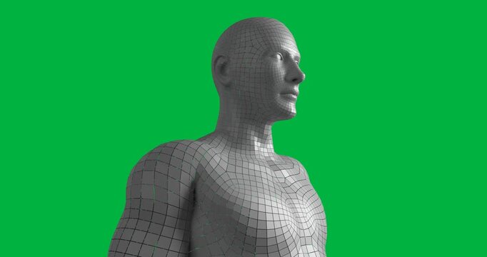 digitally generated human gridlines