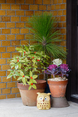 玄関の正月飾り