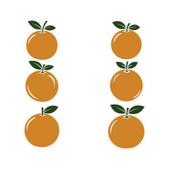 orange fruit vector illustration set with leaves flat minimal citrus icons isolated on white backgrounds.eps