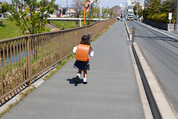 通学路を歩く新一年生