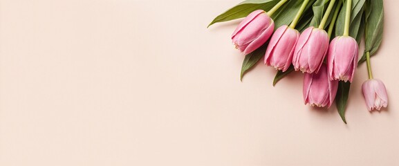 Pink tulips arranged elegantly on a soft backdrop make for a beautiful and fitting image to use on spring celebration and commemorative flower cards