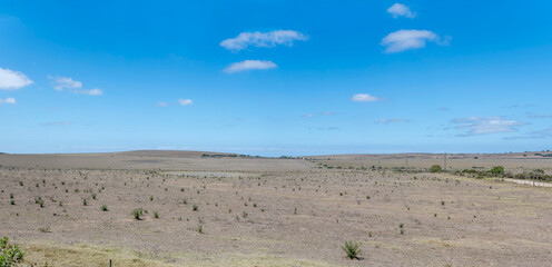 barren flatland landscape,  near Mosselbay, South Africa