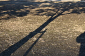 Tree shadows on the ground with quiet empty background