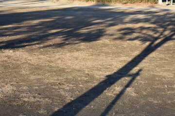 Tree shadows on the ground with quiet empty background