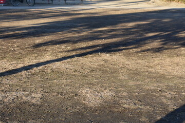 Tree shadows on the ground with quiet empty background