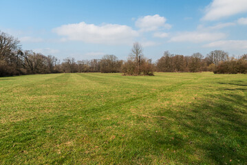 Meadow with trees around during partly cloudy early springtime day in CHKO Poodri in Czech republic