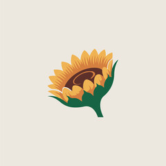vector illustration of sunflower