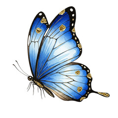 Elegant blue butterfly with golden spots on transparent wings