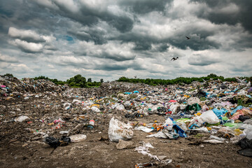 Landfill, garbage dump near the forest under stormy sky