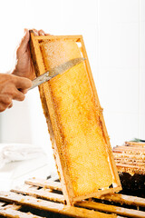 Honey Extraction Process Featuring a Close-Up of a Beekeeper Cutting Honeycomb